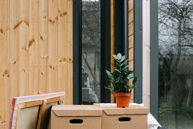 Wooden porch with cardboard boxes and potted plant next to glass windows.